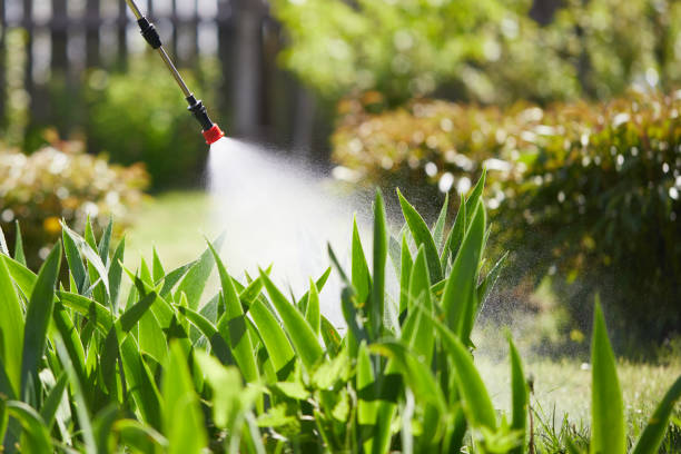24/7 Emergency Mosquito Control experts in Manistee, MI