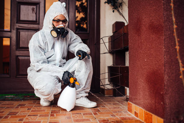 Reliable Mosquito Control contractor in Manistee, MI by Show Me Pest Control